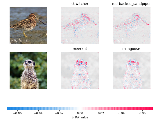 ../../../_images/example_notebooks_image_examples_image_classification_Explain_an_Intermediate_Layer_of_VGG16_on_ImageNet_%28PyTorch%29_3_0.png