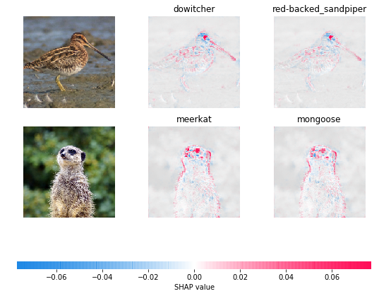 ../../../_images/example_notebooks_image_examples_image_classification_Explain_an_Intermediate_Layer_of_VGG16_on_ImageNet_%28PyTorch%29_5_0.png