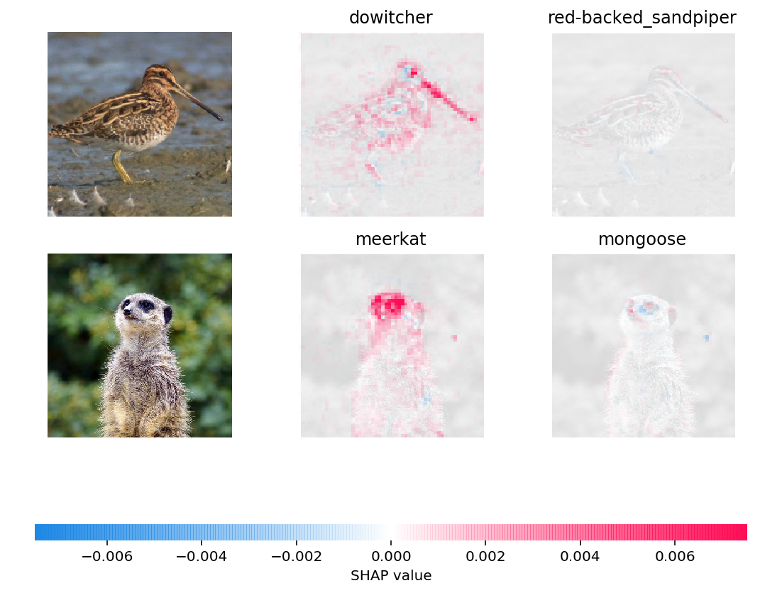 ../../../_images/example_notebooks_image_examples_image_classification_Explain_an_Intermediate_Layer_of_VGG16_on_ImageNet_1_1.png