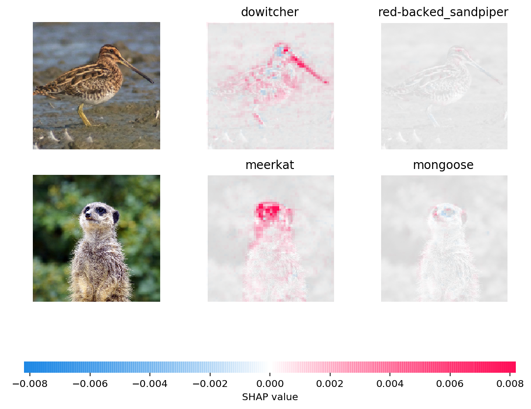 ../../../_images/example_notebooks_image_examples_image_classification_Explain_an_Intermediate_Layer_of_VGG16_on_ImageNet_3_0.png